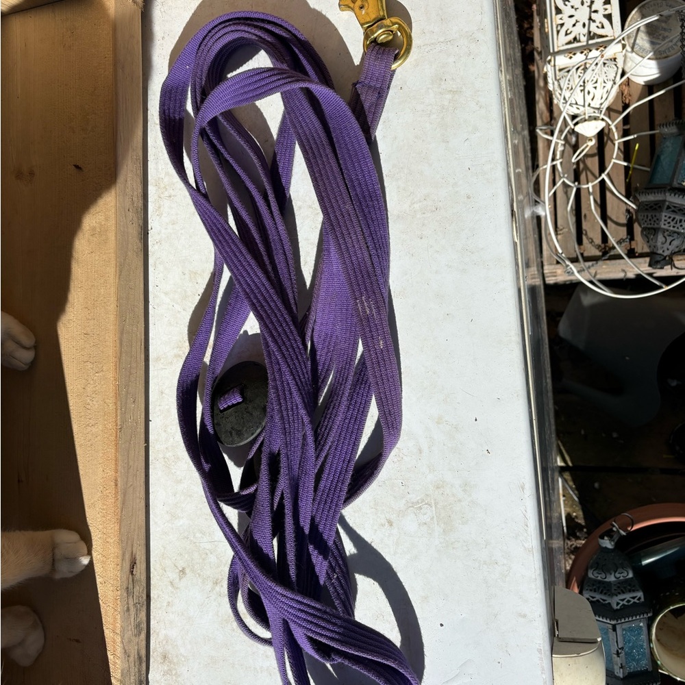 Purple Lovers Package Deal- Lunge Line, Sport Boots and Bell Boots, See Desc!!